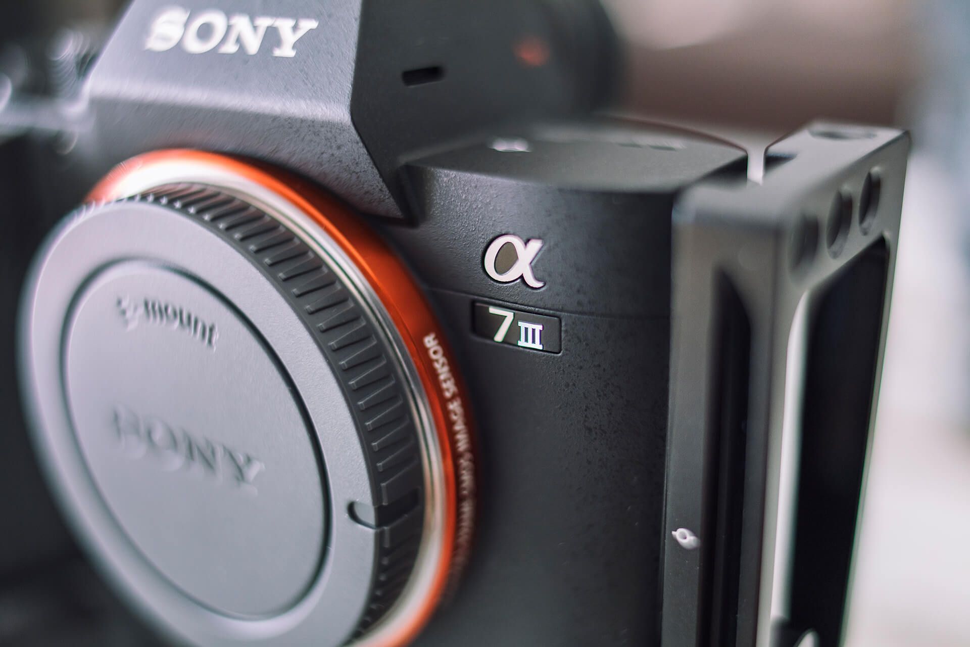 Sony A7 III Systemwechsel von der Canon 5D IV - Destails